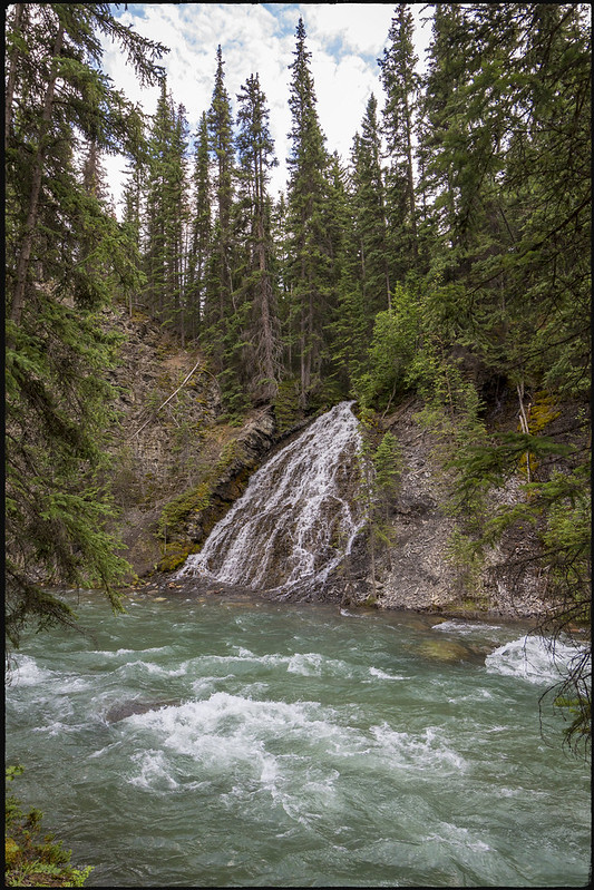 01/08/2019. De Prince George a Jasper. Ancient Forest. Zona de Maligne Lake - Road trip por el oeste de Canadá, pisando un par de veces Alaska (9)