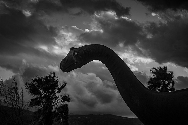 Cabazon dinosaur at sunset. Feb. 16, 2019. #cabazondinosaurs #dinosaur #cabazon #bnw #bnwphotography #bnwlovers #bw #monochrome #bw_lover