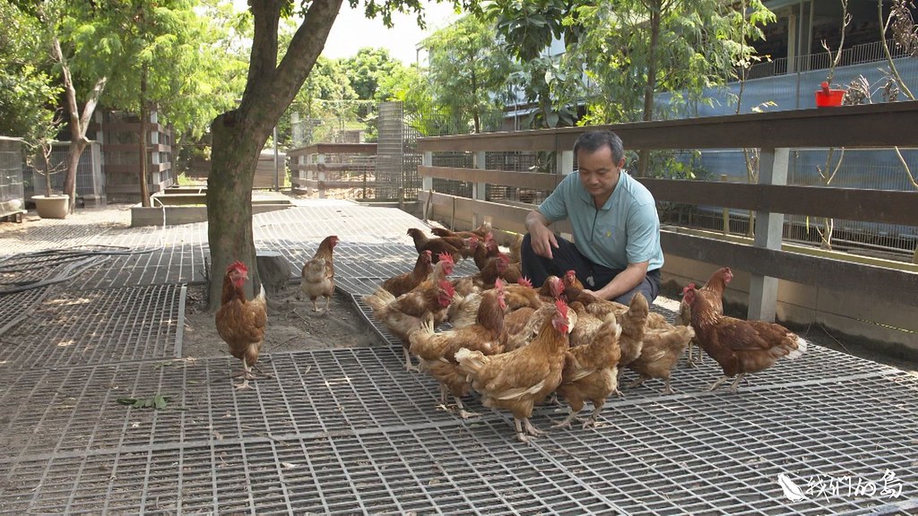 彰化埔鹽這家養雞場，裝設了自場化製設施，加強牧場的生物安全，減少動物傳染病侵襲風險。
