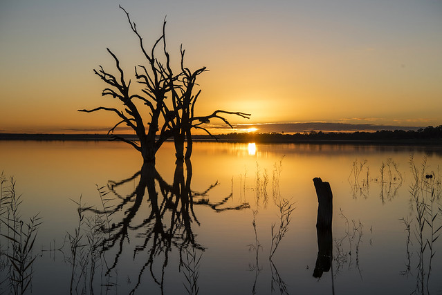 lake bonny dawn 3