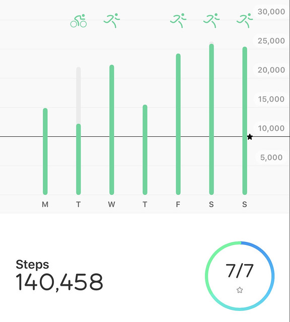 140,458 steps