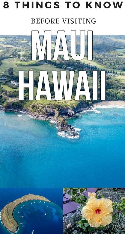 8 THINGS TO KNOW BEFORE VISITING MAUI - Maui Travel Tips | Wanderlustyle.com