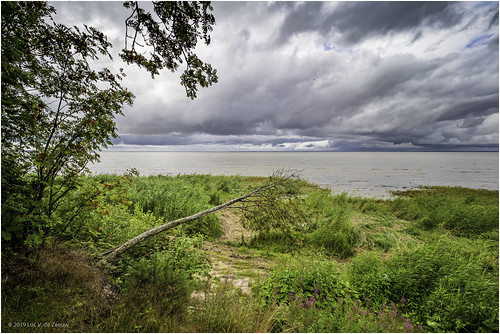 cloudy grass gulf gulfofriga landscape tree water reiu häädemeestevald estonia