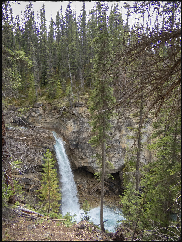 02/08/2019. Jasper. Icefields Parkway (I): cascadas, lagos y glaciares. - Road trip por el oeste de Canadá, pisando un par de veces Alaska (22)