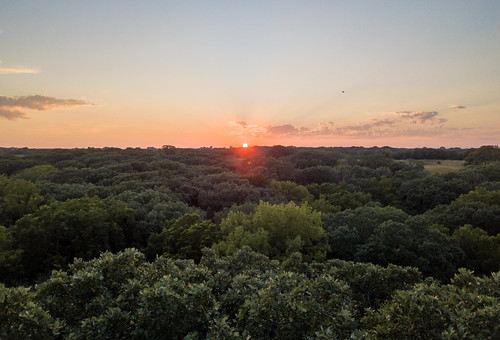 bee nebraska unitedstatesofamerica garland drone dji mavic pro nature sunset