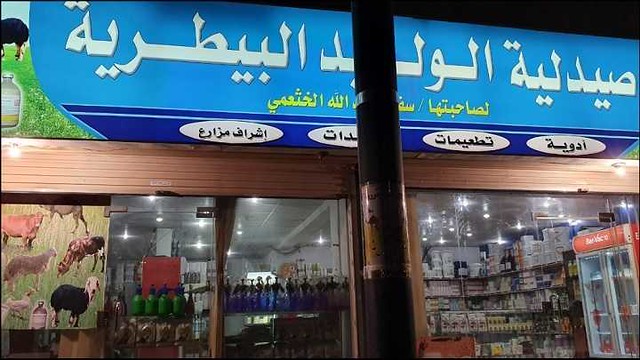 3349 Best Pet and Vet clinics in Jeddah 09