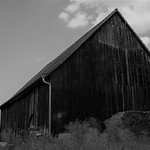 old barn bw