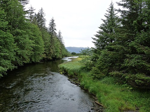 Creek in Tongass National Forest, Sitka, Alaska