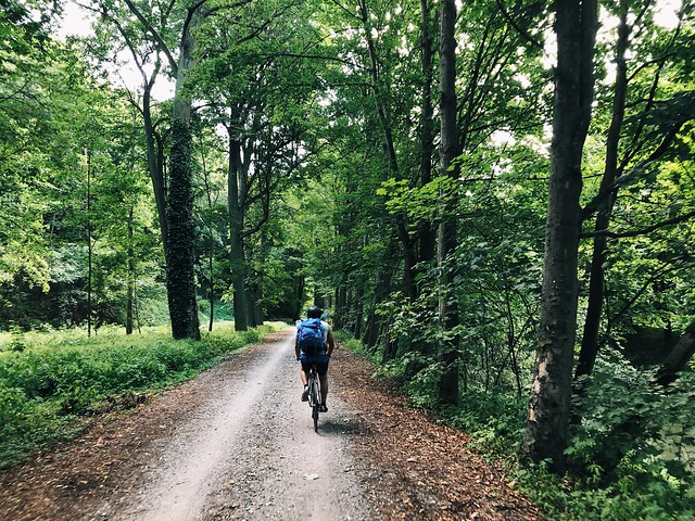 Elbe Cycle Path 2019