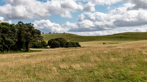 wiltshire pewsey downs hill grass field landscape aonb northwessex areaofoutstandingnaturalbeauty tree sky
