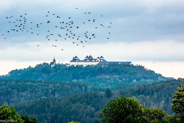 Fernblick zum Schloss Augustusburg