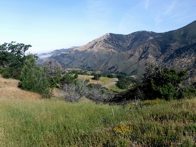 Los Padres Natl Forest