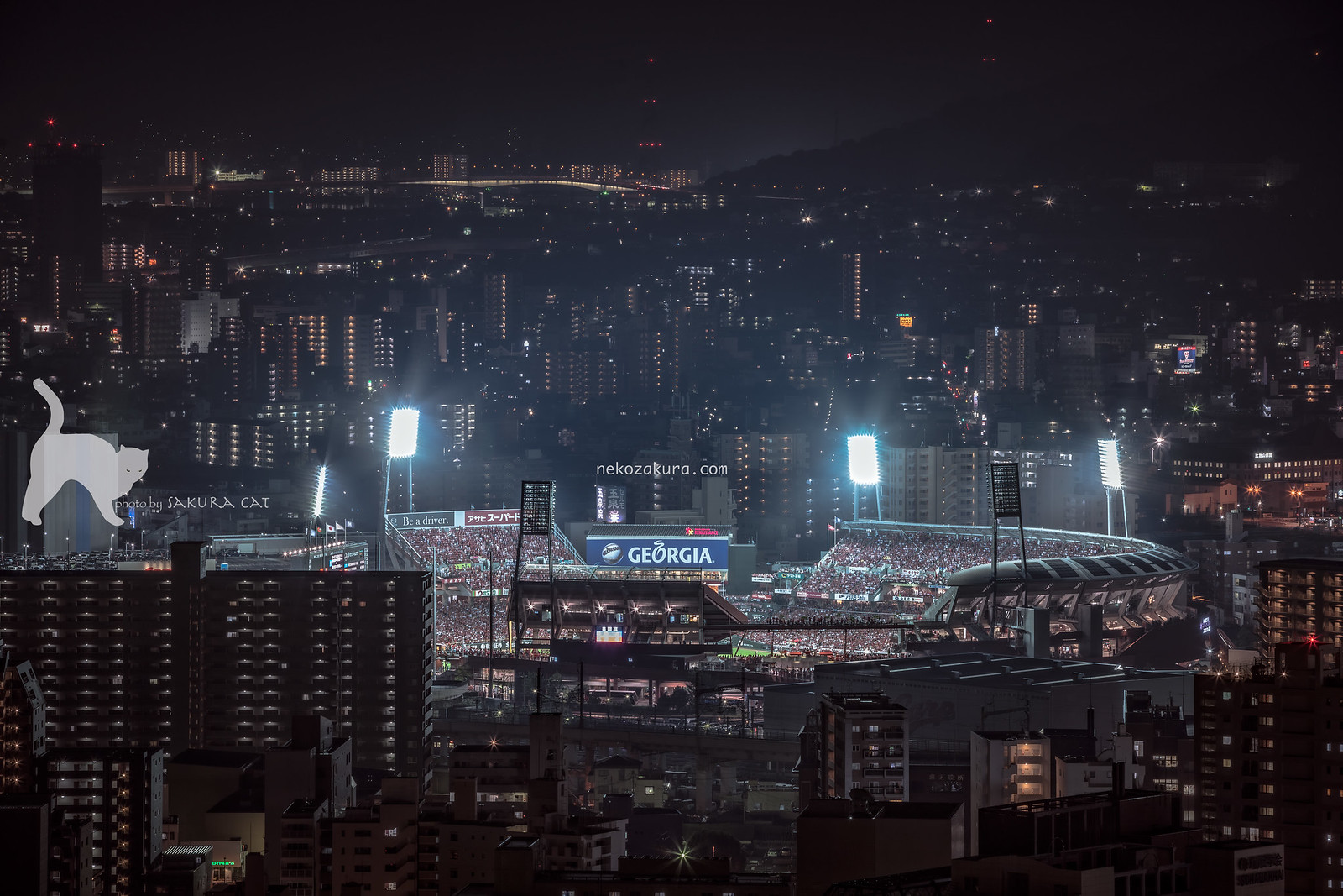 Night scenery at Hiroshima 2019830