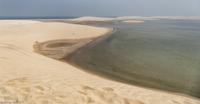 Where the desert meets the Gulf