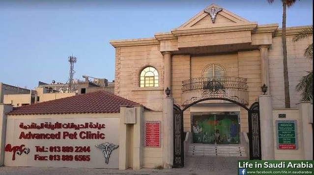 5325 Best Pet and Vet clinics in Khobar 02