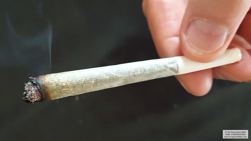The Cannabis Joint