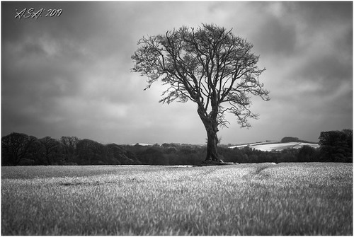 Ground Level | by "A.S.A."