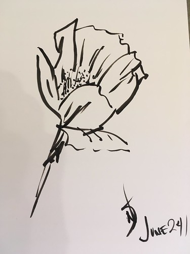 poppy