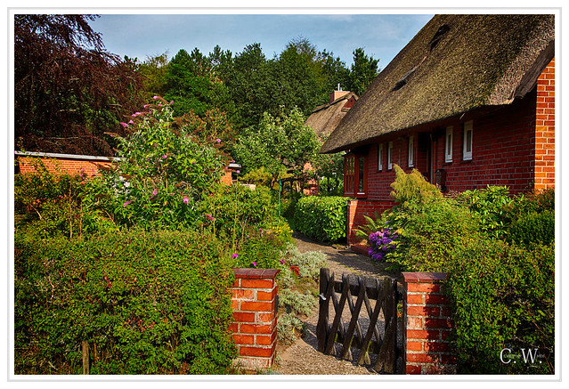 Reetdachhäuser / Thatched houses - 2