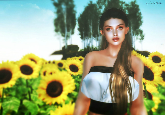 “A sunflower field is like a sky with a thousand suns.
