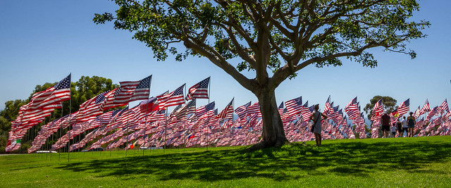 Waves of Flags