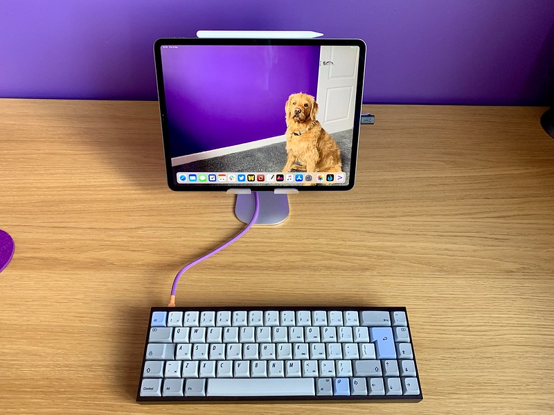 My desk, with the keyboard and my iPad Pro set up for writing. The wallpaper on the iPad is of my dog Whisky.