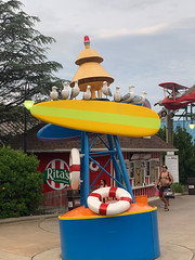 Photo 26 of 30 in the Hersheypark on Thu, 20 Jun 2019 gallery