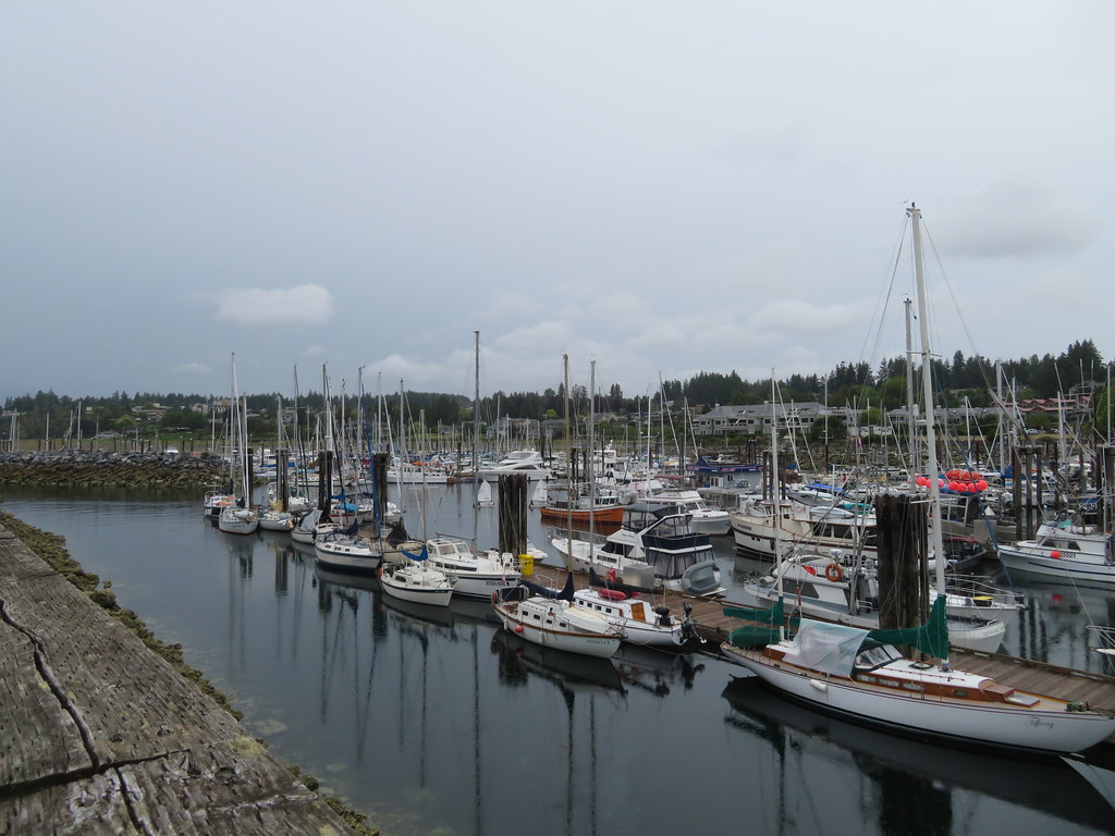 Comox Harbour.
