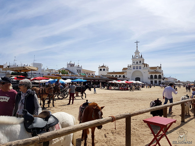 Pasando el día en el Rocio (5)