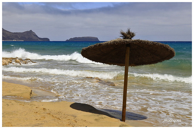 The beach umbrella