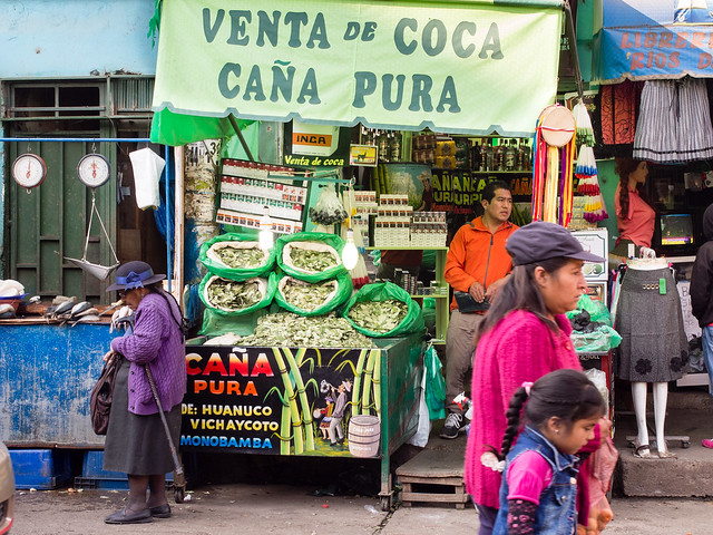 Feuilles de coca...Coca leaf   Peru