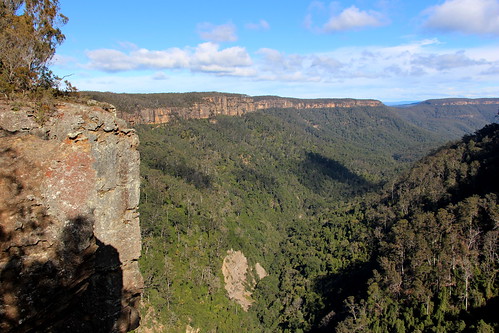 australia new south wales lookout nature national park morton landscape forest tree outdoor track wildlife belmore fitzroy waterfall falls plant river lyre bird west rim walking trail