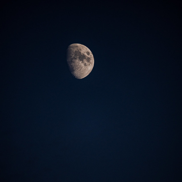 Blue hour moon