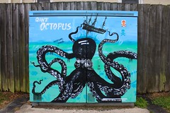 Giant Octopus