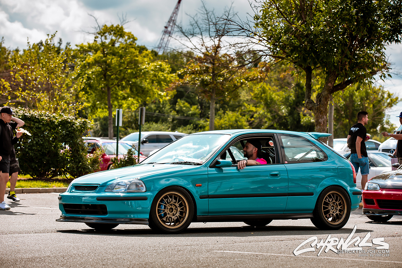 309A7196-Edit