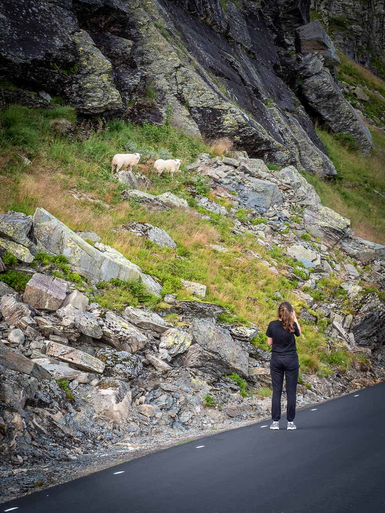 Обзорная экскурсия по югу и северу Норвегии в августе 2019, 28 дней и 8000 км на машине с детьми