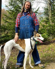 The Dee-oh-gee, my companion on many adventures, is 7 years old today! #Cane #dogsofinstagram #greyhound #greyhoundsofinstagram