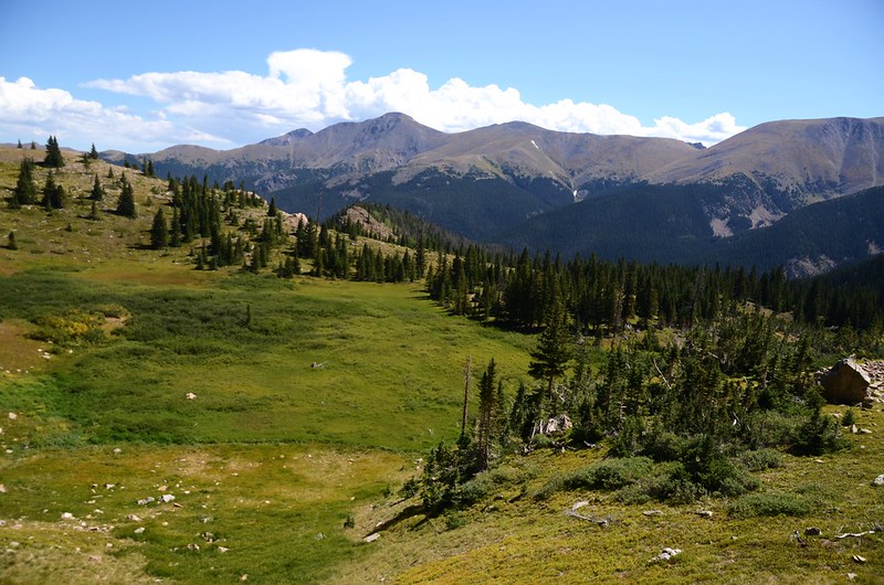 Looking east at mountains from Berthoud Pass Ditch (1)