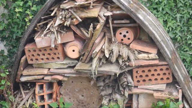 _Insect hotel_ at Masson Blondelet, Loire, France