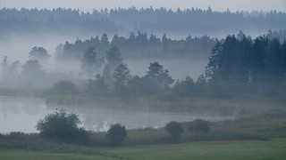 Misty morning at the lake of Eschenau