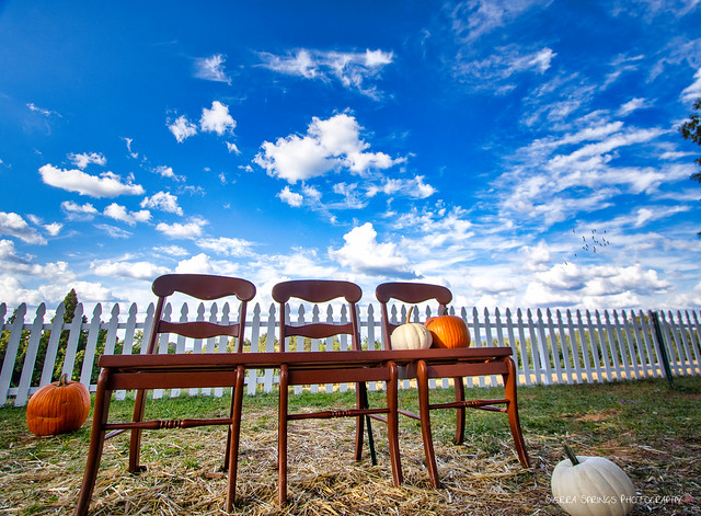 3 Chairs and 2 Pumpkins