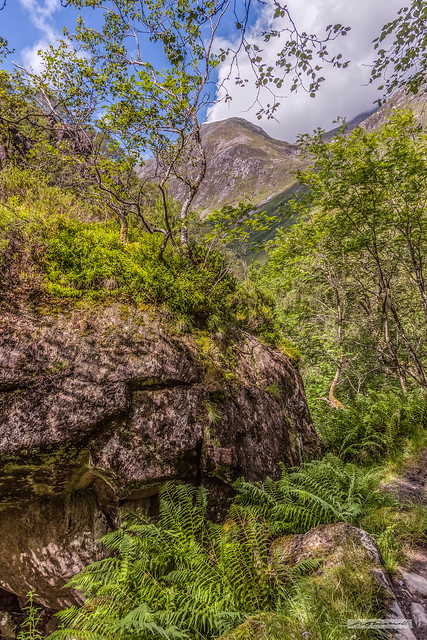 Fallen Erratic Boulders, Colonised by a Mini-Ecosystem, in Glen Nevis.