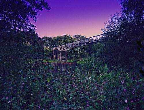 therenton westdunbartonshire scotland bridge footbridge crossing river riverbank water trees flowers sky vivid colour nature outdoor texture art artwork