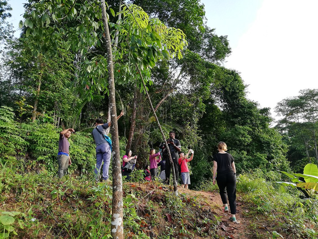 Temuan Village Trail With Native Guides