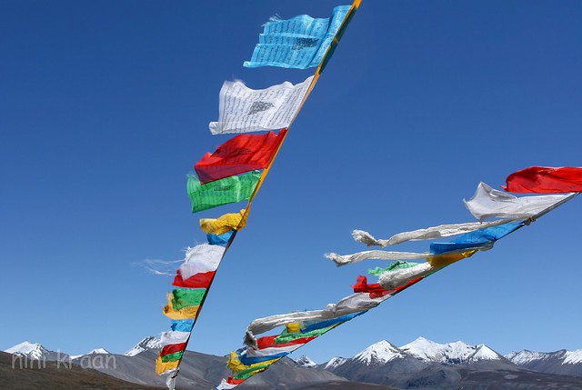 Flags of Pray - Himalaya