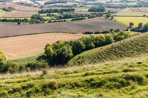 wiltshire landscape hillfort ditch martinsell hill hillside hilltop pewsey vale valley steep high vertiginous panorama grass field earth tree