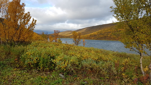 tana hanadalen landscape outdoor finnmark østfinnmark friskifinnmark friluft uteliv northernnorway norway arctic 70north
