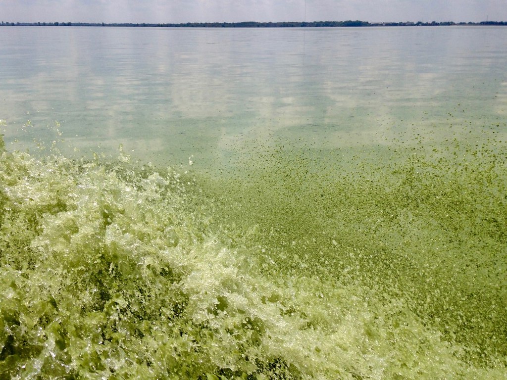 2019 Photo Contest: CIGLR in Action