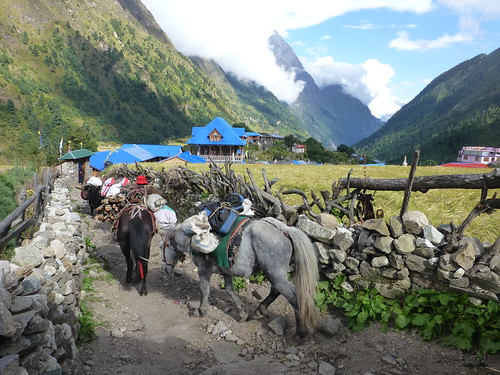 - Near the village of Lho, Nepal