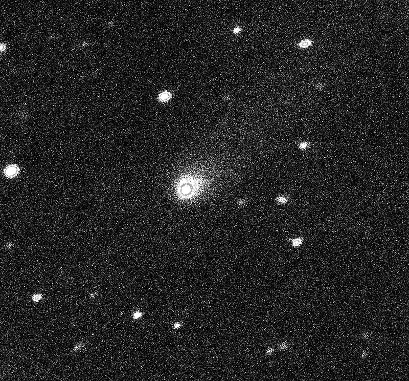 Comet C/2019 Q4 (Borisov), variant